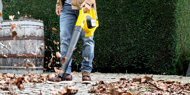 Souffleurs et aspirateurs de feuilles sans fil