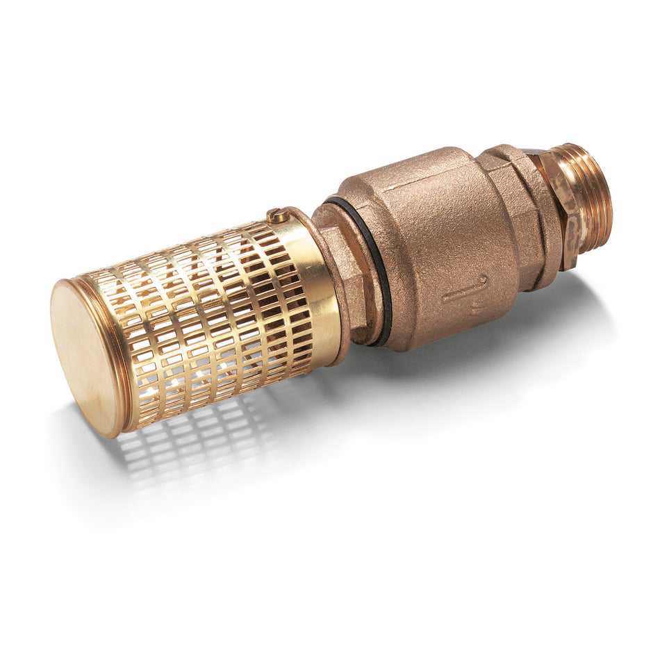 Saugfilter mit Rückschlagventil