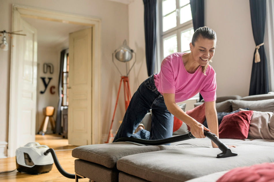 Aspirateur avec filtration par eau DS 6