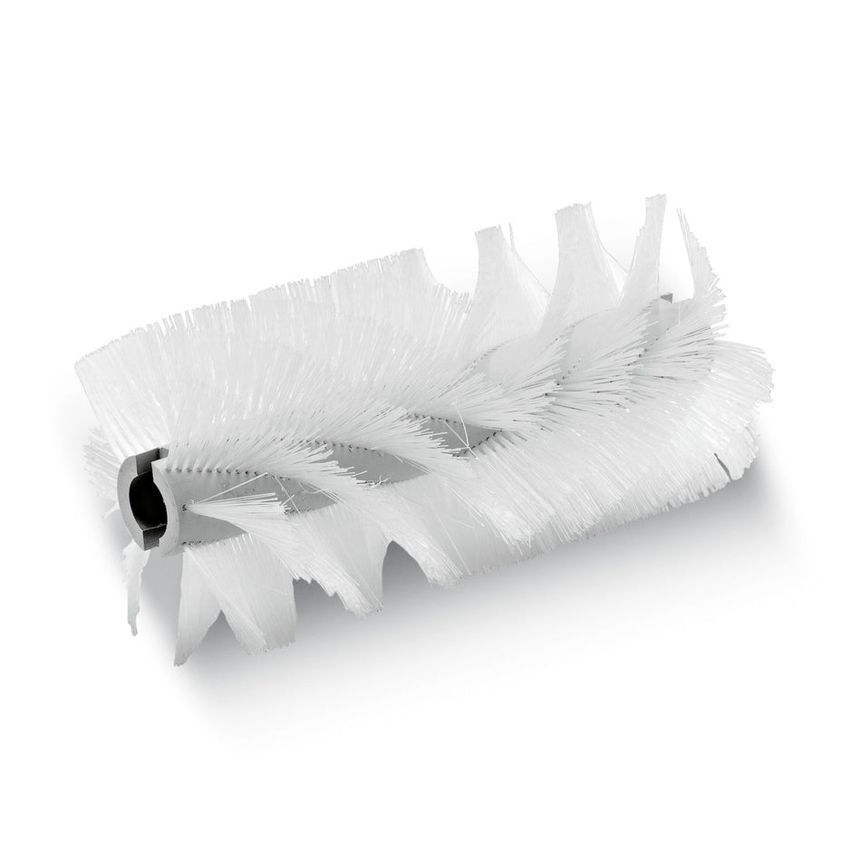 Brosse standard