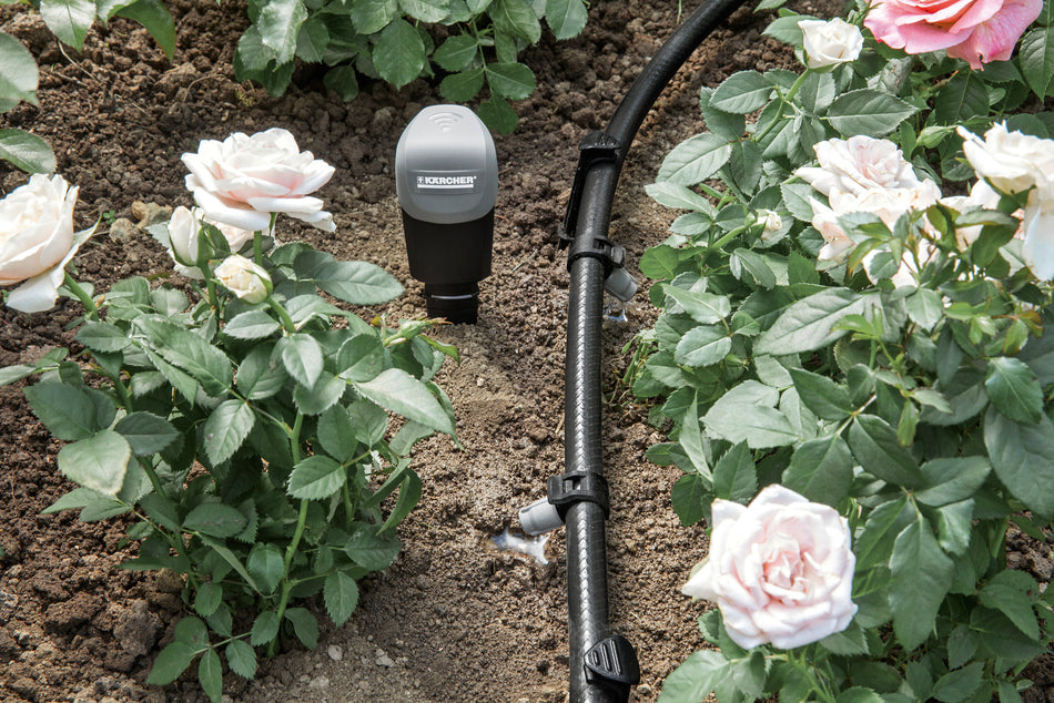 Tampon de remplacement pour capteur Senso Timer